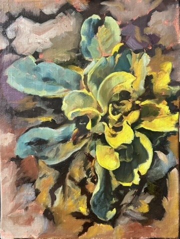 Yellow iris against a coral-red background