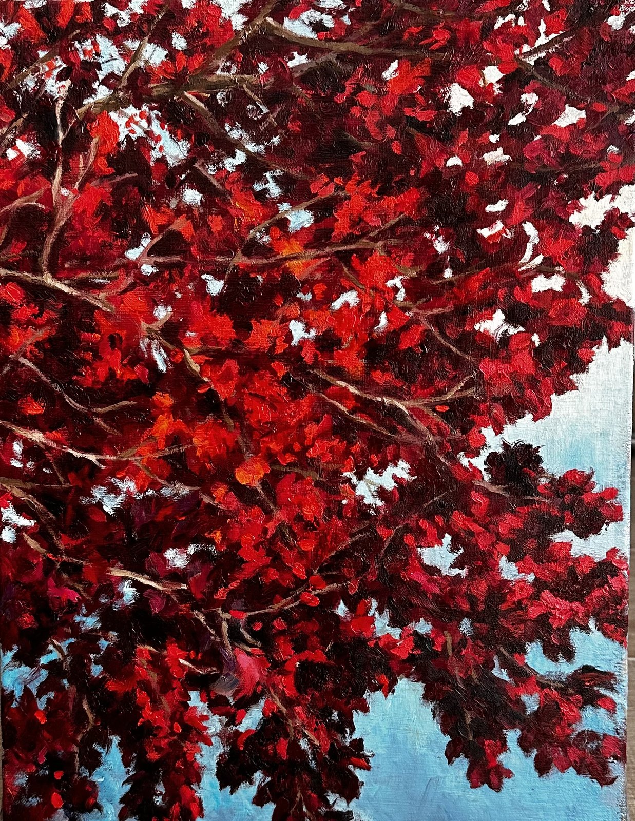 Dense red autumn foliage against a pale sky