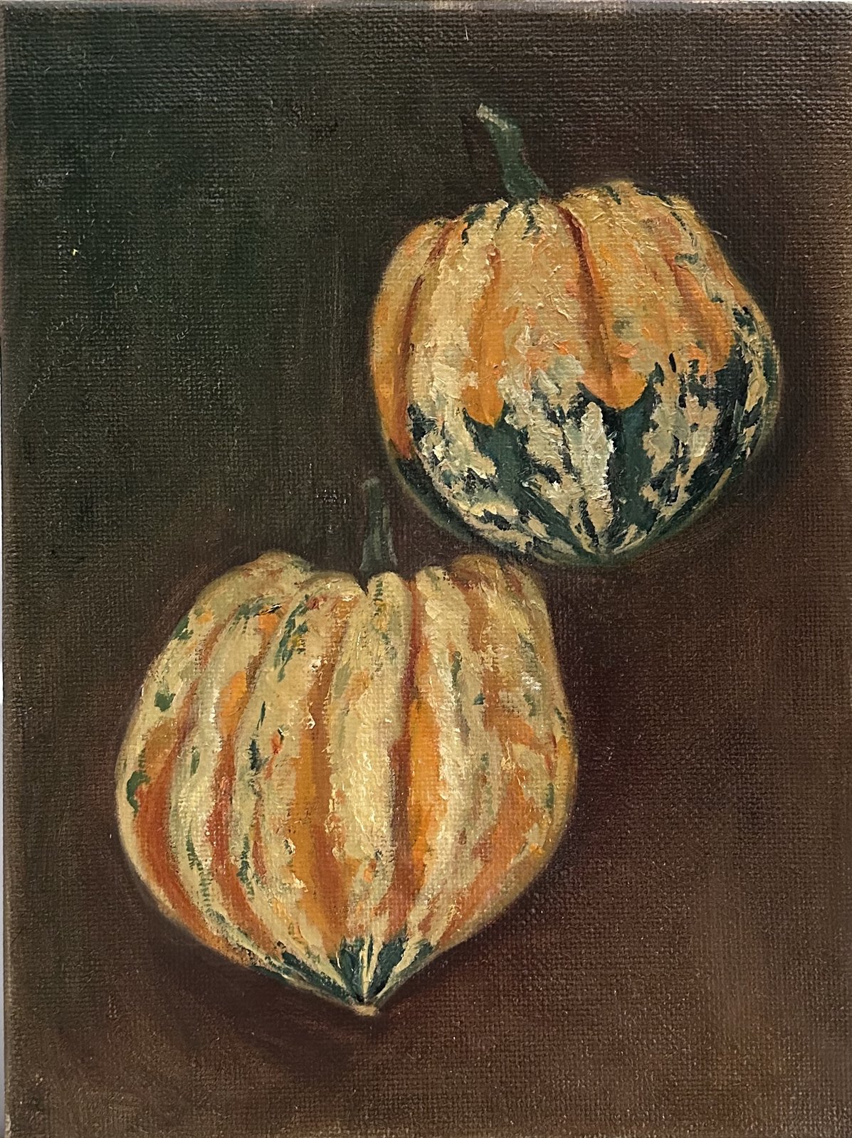 Two striped ornamental gourds against a dark background